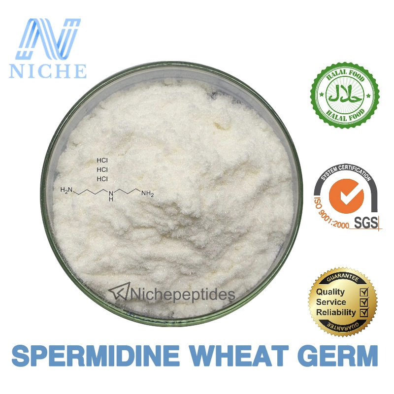 Rich Spermidine Wheat Germ Nutrition Longevity Dietary Supplements USA Warehouse CAS: 334-50-9