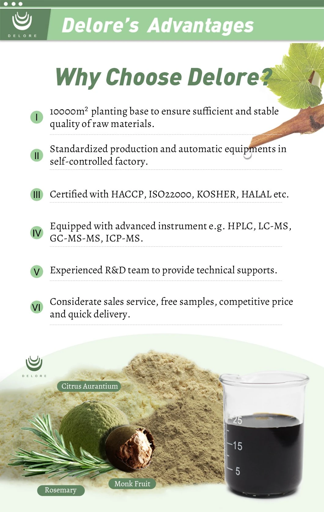 Olea Europea Olive Leaf Extract 10%-80% Oleuropein, 3%-50% Hydroxytyrosol Chinese Herb Powder Olive Leaf Extract Price