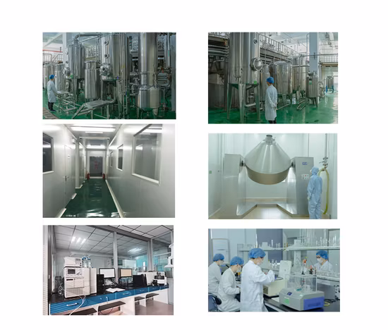 Supplier Wholesale Herb Extract Pure Mint Extract