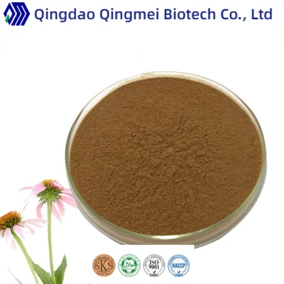 High Quality Good Price Echinacea Herb Extract