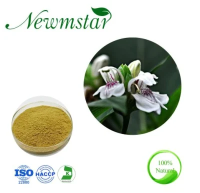 Natural Herb Best Quality Adhatoda Vasica Adhatoda Extract/Basak Extract