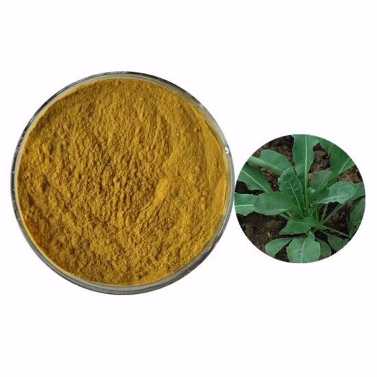 Supply Wild Mint Herb Extract