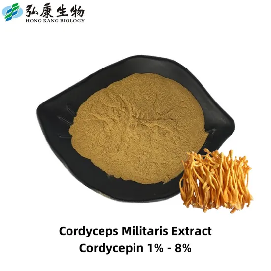 Factory Supply High Quality 100% Natural Ganoderma Lucidum Extract Herb Extract Plant-Extract