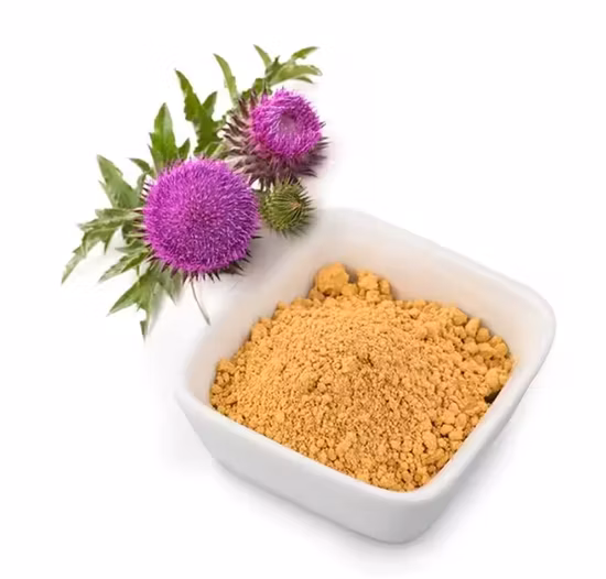High Quality Good Price Echinacea Herb Extract