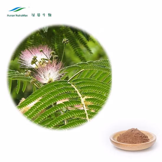 Mimosa Pudicae Extract Sensitiveplat Herb Extract Mimosa Extract