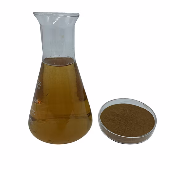 Factory Supply High Quality 100% Natural Ganoderma Lucidum Extract Herb Extract Plant-Extract
