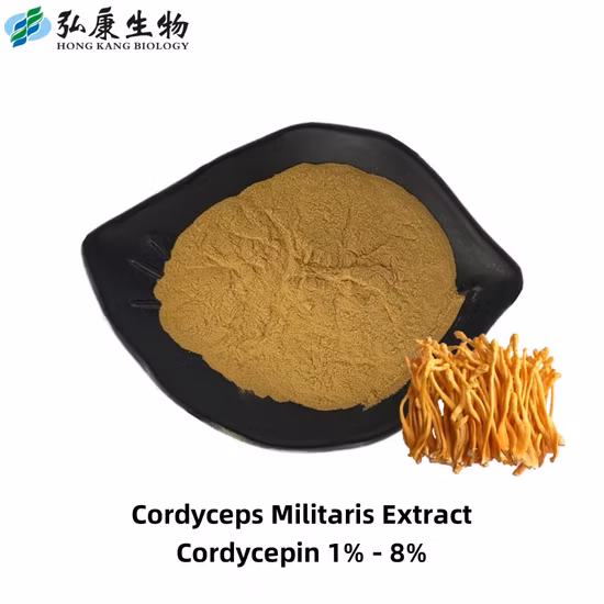 Factory Supply High Quality 100% Natural Ganoderma Lucidum Extract Herb Extract Plant-Extract