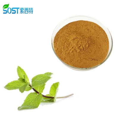 Supplier Wholesale Herb Extract Pure Mint Extract