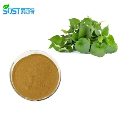 Remove Toxic Heart leaf Houttuynia Herb Extract