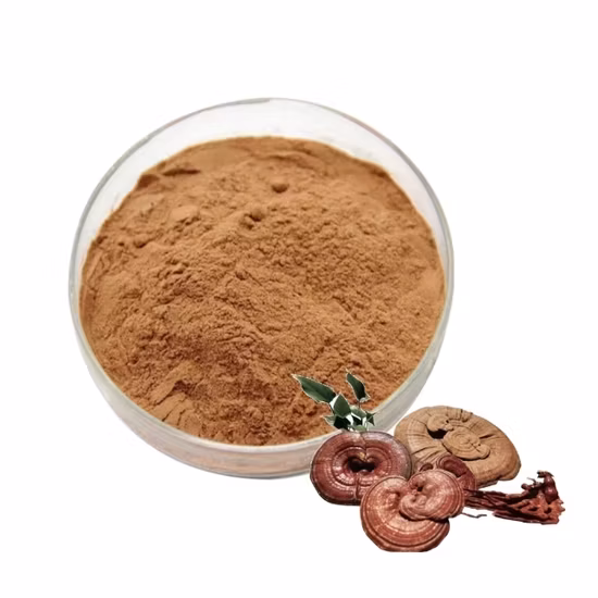 Factory Supply High Quality 100% Natural Ganoderma Lucidum Extract Herb Extract Plant-Extract